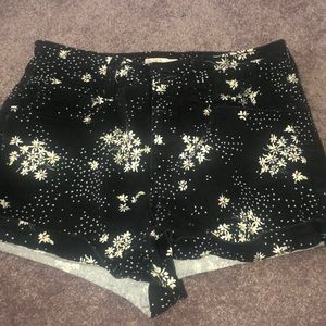daisy shorts